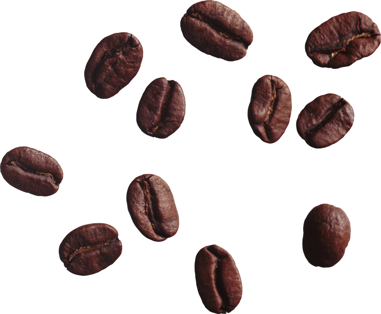 Kopikoast Blend